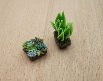 Dollhouse miniature garden Dollhouse decor 1:12 scale flowers pot Succulent Dollhouse plant Flower for doll Tropical Dollhouse decoration