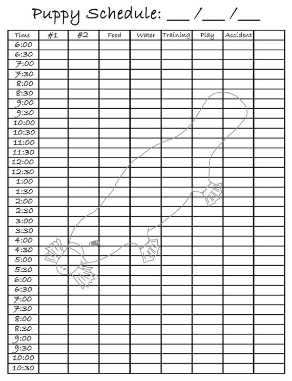 dog daily schedule chart