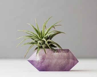 Air Plant Crystal Garden, Amethyst Crystal, Terrarium, Office Desk Accessories, Mini Plants, Bedroom Decor, Boho Decor, Crystal Air Plant