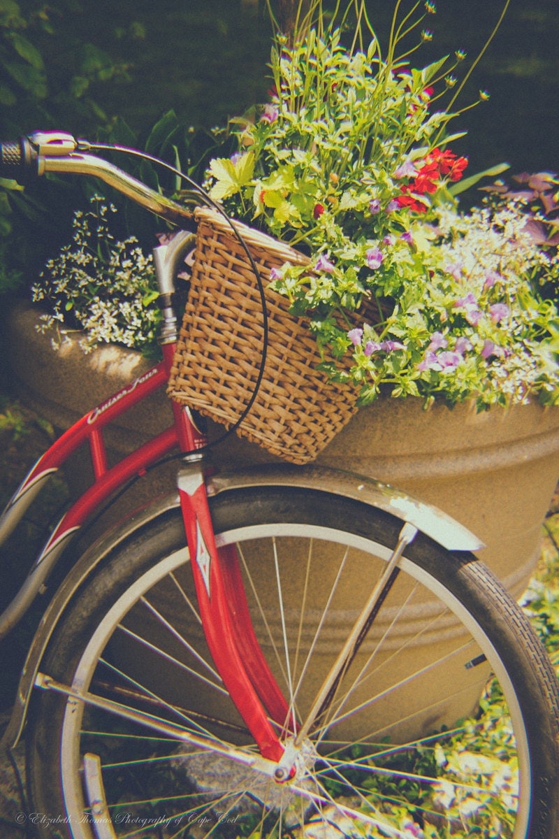 Vintage BICYCLE STILL LIFE Photography Red Bike Bike Art