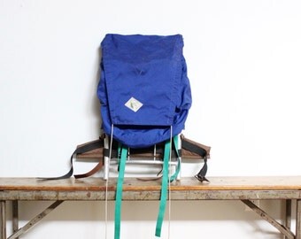 Vintage REI External Frame Back Pack Aluminum Metal Frame Backpack Camping Blue Co Op Seattle USA R E I R.E.I. Daypack