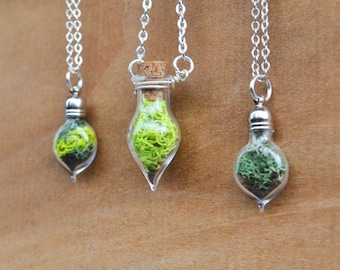 Moss Necklace, Spring Jewelry, Glass Terrarium Necklace, Miniature Terrarium, Botanical Jewelry, Moss Jewelry, Plant Jewelry, Live Plant
