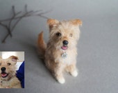 norwich terrier stuffed animal