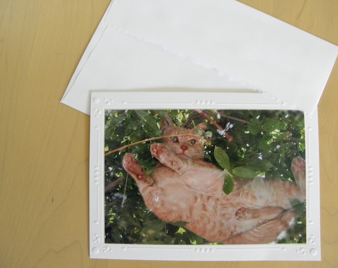 TABBY CAT LOVER Photo Card, Blank Inside Photo Stationary, Embossed Card Stock, Coordinating Envelope