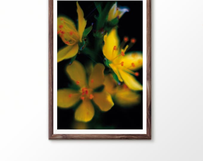 Instant digital download Printable art Fine art photography Instant digital photography Flower photography macro photography Yellow flower