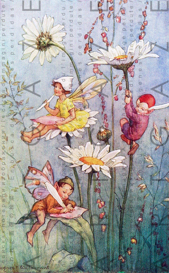 FAIRIES Writing On Daisy FLOWERS Petals. Vintage Fairy Tale