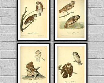 Vintage Owl Matted & Framed Prints / Set of 2 E Rambow Owl