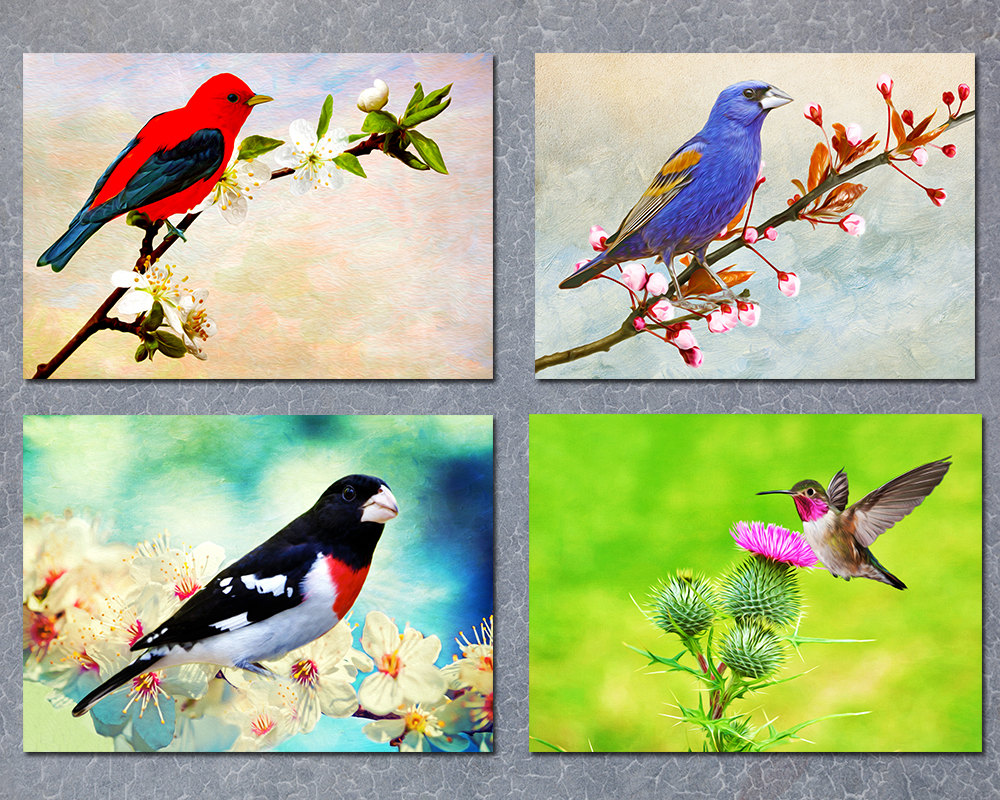 Birds Bird Art Prints Save 50 Percent Four 5x7 Prints