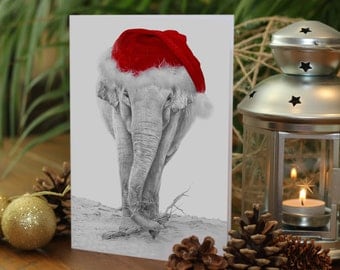 ELEPHANT Drawing Christmas Card - Gemma Hayward Art