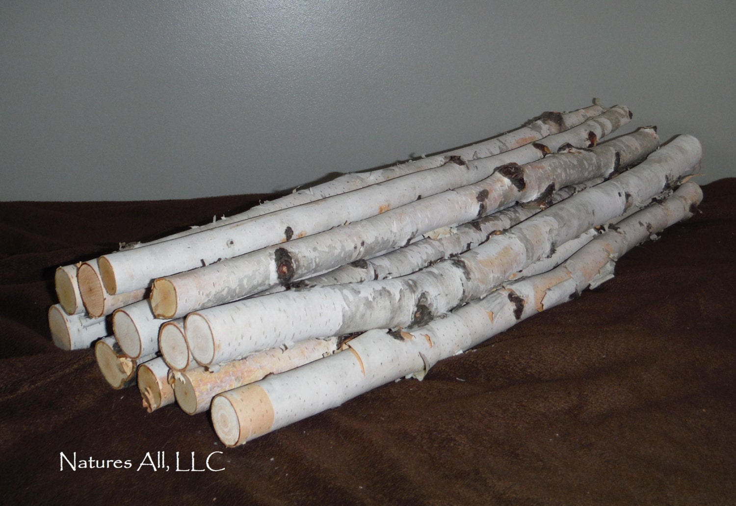Decorative White Birch Sticks/20 Inch Lengths/12 Piece White