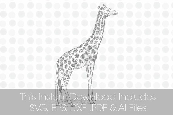 Download Giraffe SVG Pdf DXF EPS Ai Vinyl cutting file