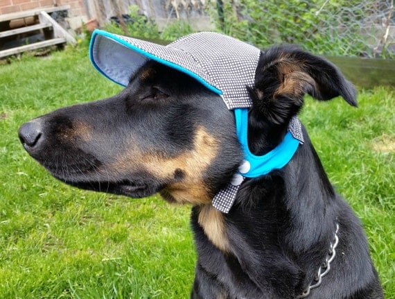 dog sun cap