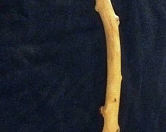 Hand Carved Walking Stick/Cane, Sycamore