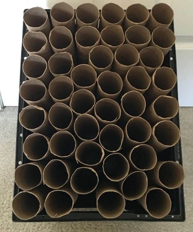 60Cardboard paper towel rolls by UpstateEmpire on Etsy
