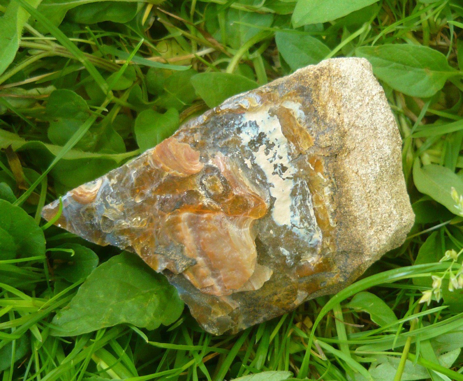 Raw Boulder Opal in Sedimentary Matrix 175g