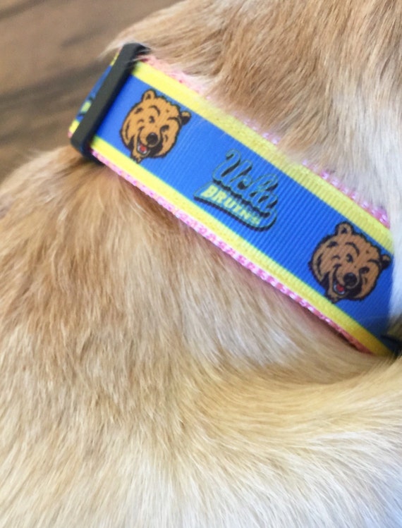 UCLA Inspired Pink or Blue Dog Collar and optional leash