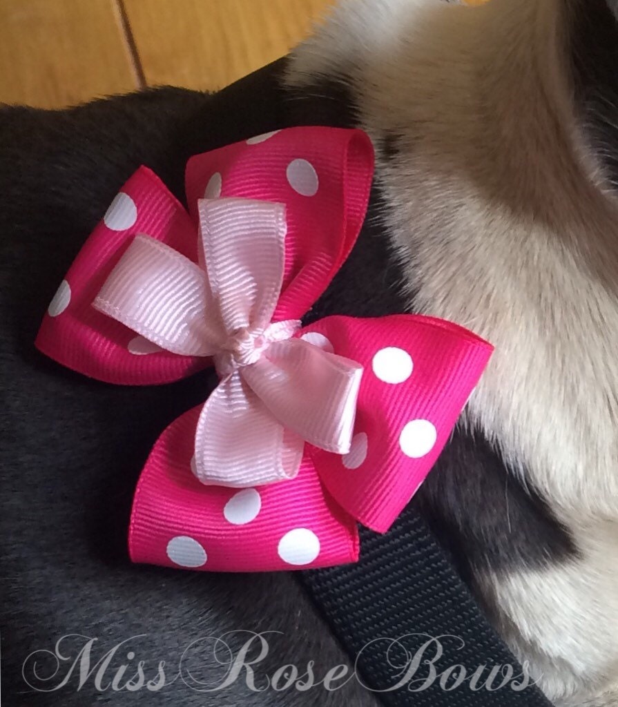 Pink Dog Collar BowPolka Dot Dog Collar by MissRoseBowsAndMore