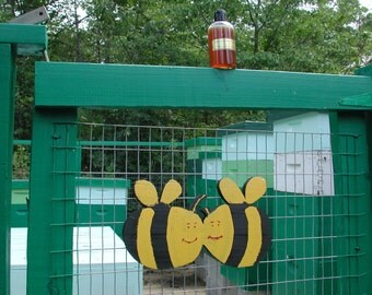 Michelle's All Natural all Organic Non GMO Connisseur grade Wild Mountain honey - Gifts