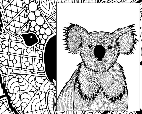 koala coloring sheet animal coloring pdf zentangle colouring