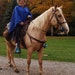 Cheryl Payne
