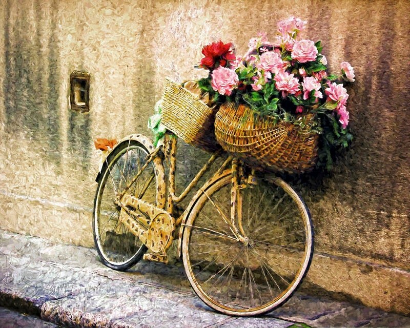 Old Bicycle Bike With Flowers Parma Italy Parma Italy