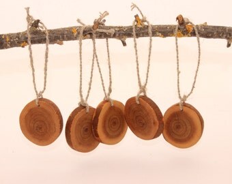 Set of 5 cherry slices | 1,6- 2,3 inches| Rustic wedding decorations | Wooden slices | Jute strings