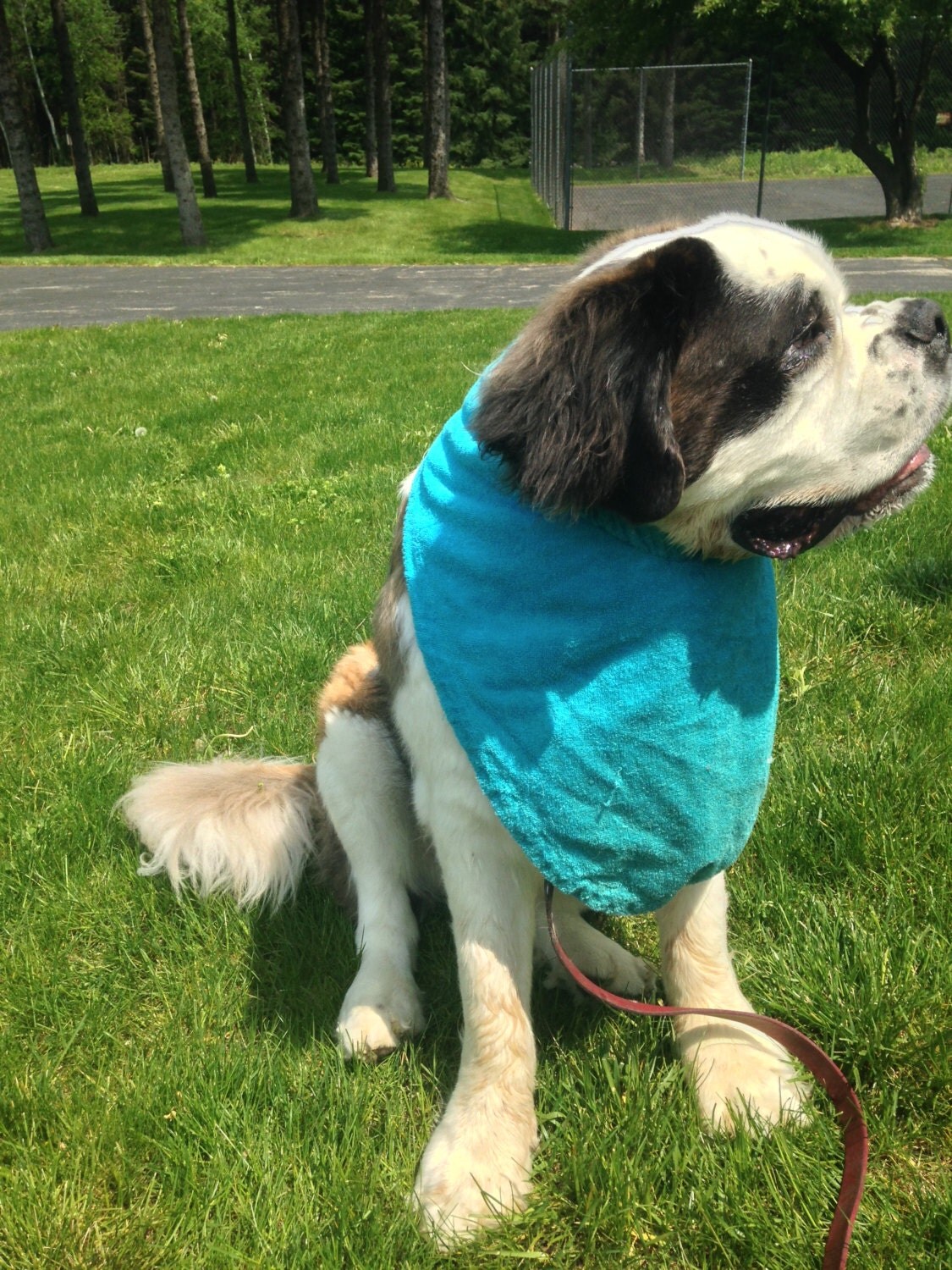 Turquoise Drool Bib for Extra Large Dog