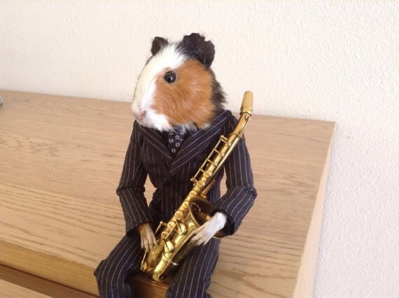 httpsimg1etsystaticcom124013155561il_570xN1034518607_ahlljpg