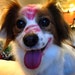 Elvis Kisser