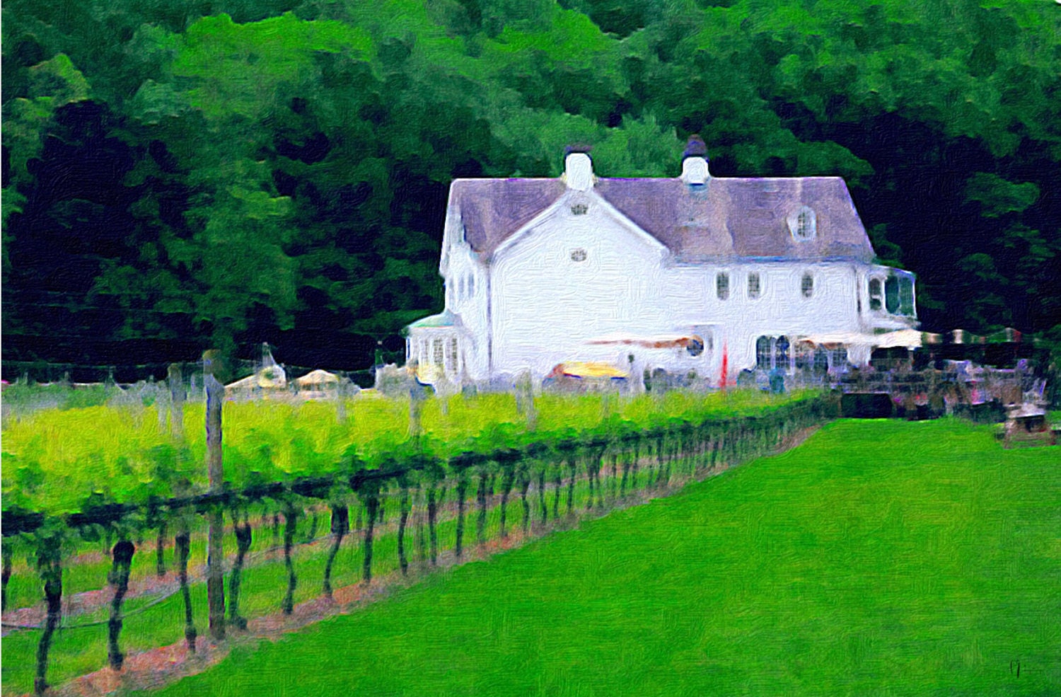 Winery Vineyard Original Art Print Photography by EarthAngelStyle