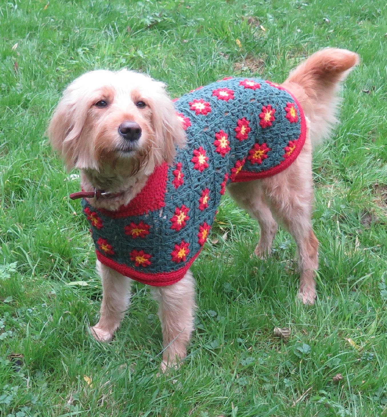 Betty's Christmas Sweater Dog Coat Crochet Pattern PDF