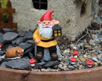 Miniature gnomes-Yoga Girl-Teeny Tiny Garden gnome-Wee fairy garden gnomes-6 colors to choose from-1/2" without post