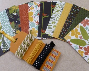 DIY Botanical Garden Stampin' Up! Papers and Ribbon Sampler Kit. 5 1/4 x 4" at 12 sheets or 4 x 3" for 24 sheets and More, also Vellum.