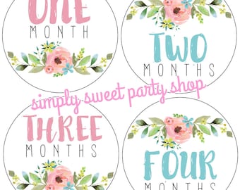 printable floral baby month stickers, girl flower month stickers, pink and blue baby month stickers, INSTANT DOWNLOAD