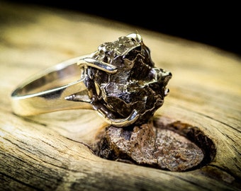 Meteorite, Meteorite Ring, Silver Meteorite, Asteroid Ring, Meteorite Jewelry, Meteorite Rings, Silver Meteorite, Unique, Silver Rings