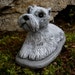 cement schnauzer statue