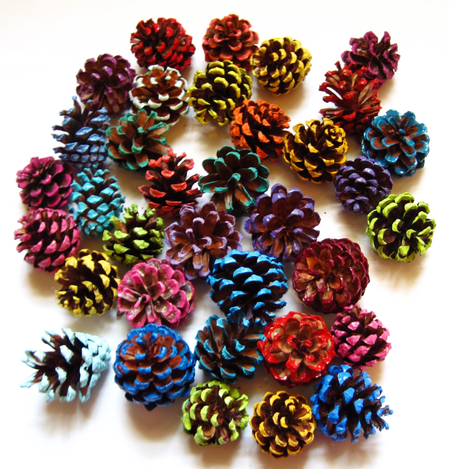 50 Hand Picked Small Painted Pine Cones for Crafting