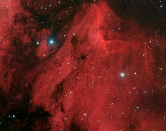 Pelican Nebula (4x6, 8.5x11 or 13x19 print)