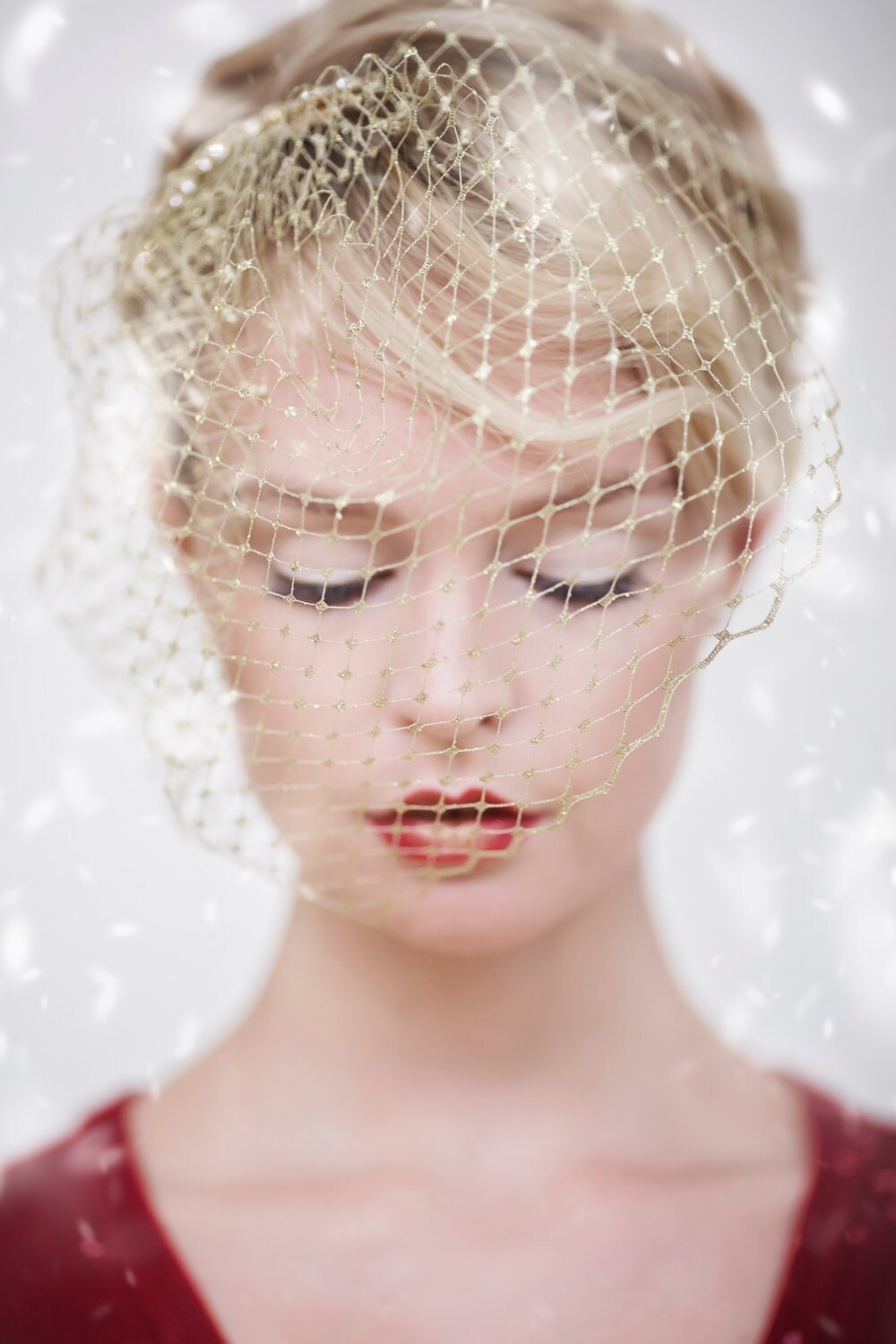 Wedding Veil Gold Birdcage Veil Christmas Veil Christmas
