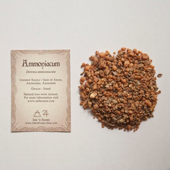 Ammoniacum Resin Dorema ammoniacum Natural Resin by InknScents