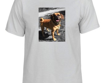 customized dog shirt