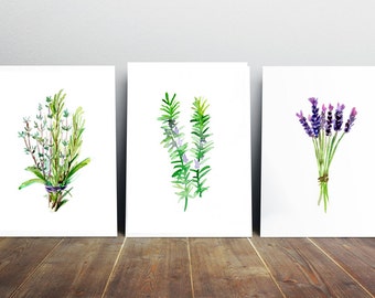 Herbs Art Herbs Watercolor Painting - Rosemary lavender Thyme - Art Print - Zen Kitchen Art Provence illustration decor herb painting
