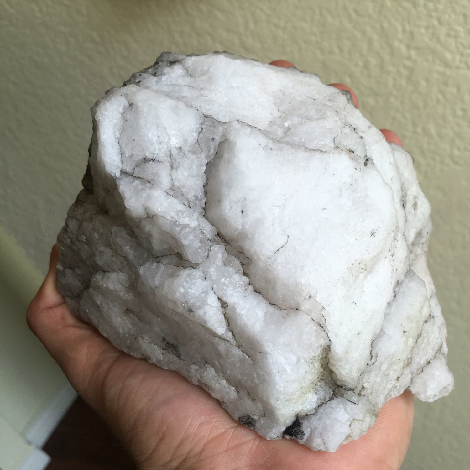Is this quarts, fossil or ??? r/whatsthisrock