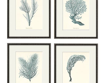 Sea coral art print Nautical art print set of 4 antique wall art Victorian art Ocean art print beach art Home decor wall art Sea art print