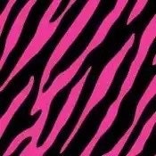 Black and Pink Zebra Pattern Design apparel by LaLaBoutiqueBling
