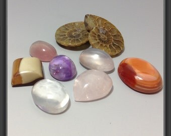 Cabochons mix/ free ammonite