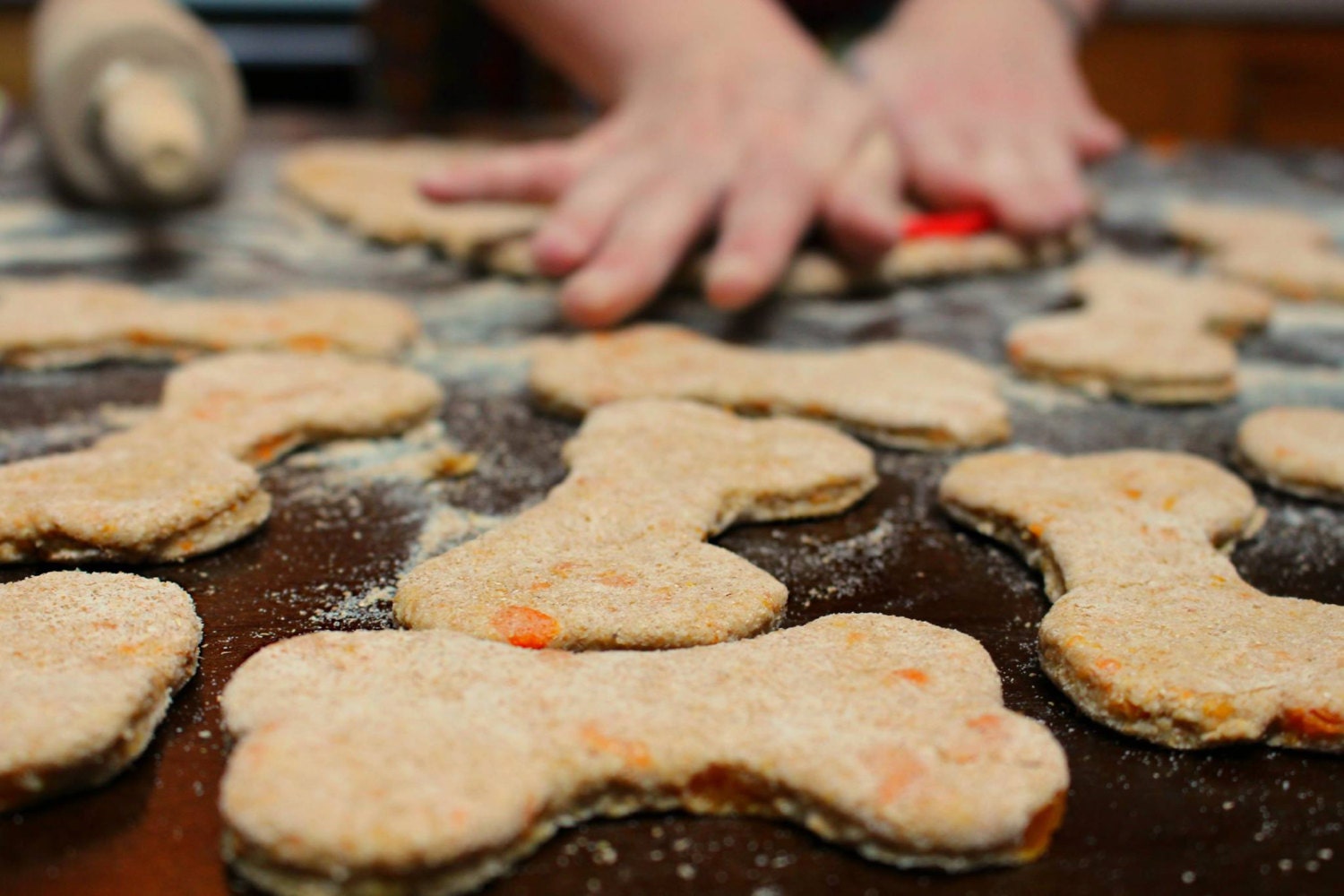Apple Carrot Dog Treats Dog Treats Homemade Dog Treats
