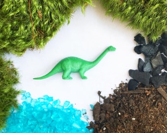 Dinosaur Terrarium Kit, DIY Terrarium, Moss terrarium