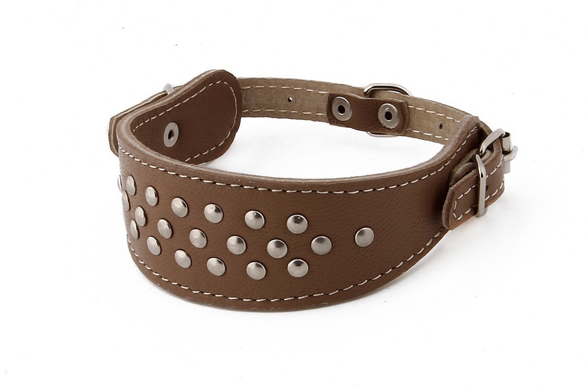 Greyhound Leather Dog Collar Studded Size S M L Adjustable