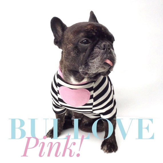 STELLA Tshirt for French bulldog clothing frenchie by BULLOVE